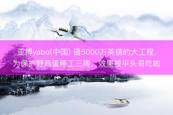 亚搏yabo(中国) 砸5000万英镑的大工程，为保护野鸡蛋停工三周，效果被平头哥吃啦