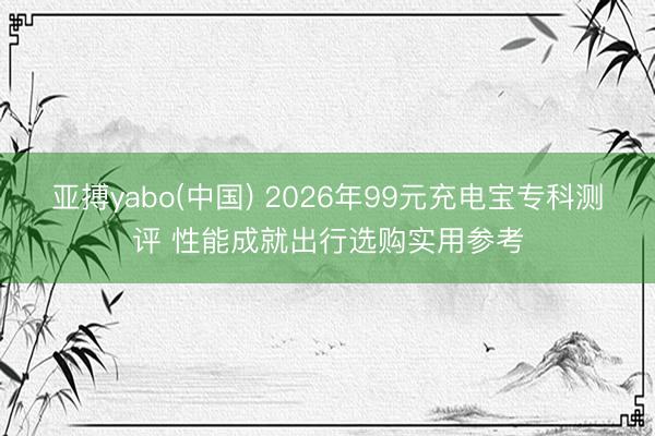 亚搏yabo(中国) 2026年99元充电宝专科测评 性能成就出行选购实用参考