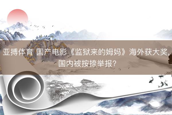 亚搏体育 国产电影《监狱来的姆妈》海外获大奖, 国内被按捺举报?