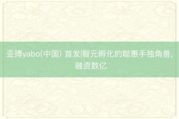 亚搏yabo(中国) 首发|智元孵化的聪惠手独角兽， 融资数亿
