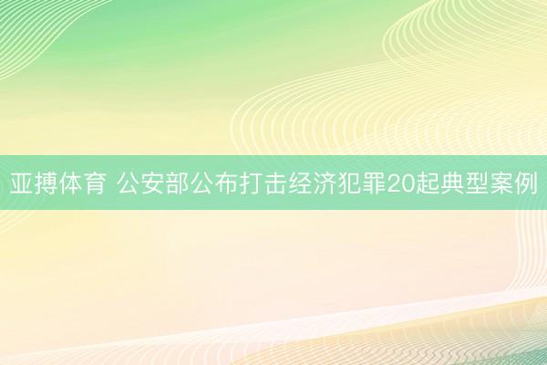 亚搏体育 公安部公布打击经济犯罪20起典型案例