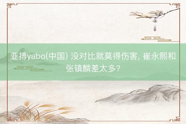 亚搏yabo(中国) 没对比就莫得伤害, 崔永熙和张镇麟差太多?