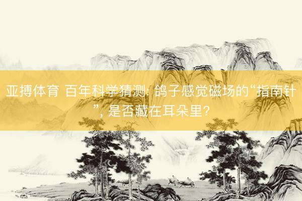 亚搏体育 百年科学猜测: 鸽子感觉磁场的“指南针”， 是否藏在耳朵里?