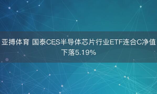 亚搏体育 国泰CES半导体芯片行业ETF连合C净值下落5.19%