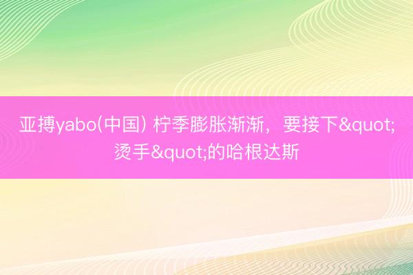 亚搏yabo(中国) 柠季膨胀渐渐,要接下"烫手"的哈根达斯