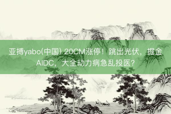 亚搏yabo(中国) 20CM涨停！跳出光伏，掘金AIDC，大全动力病急乱投医？