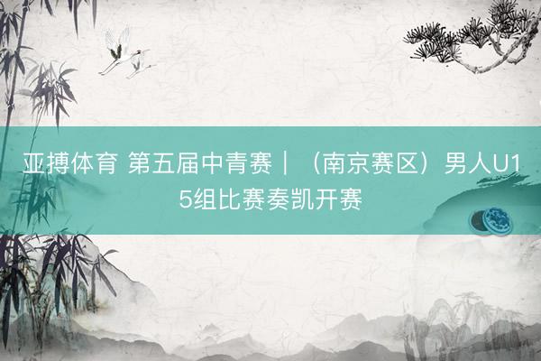 亚搏体育 第五届中青赛|(南京赛区)男人U15组比赛奏凯开赛