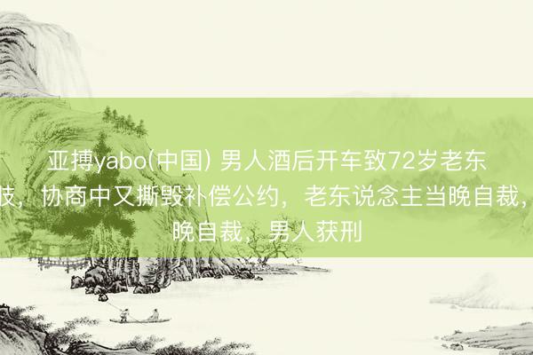 亚搏yabo(中国) 男人酒后开车致72岁老东说念主截肢，协商中又撕毁补偿公约，老东说念主当晚自裁，男人获刑
