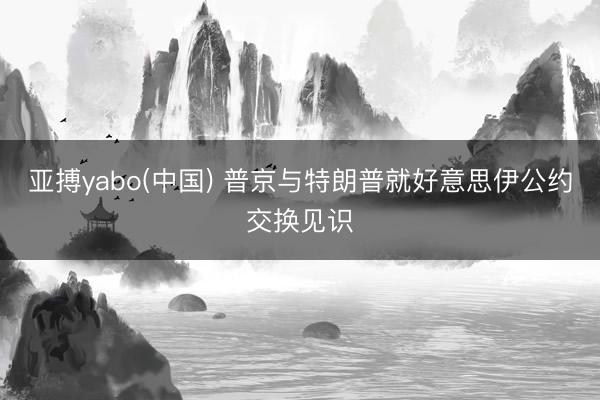亚搏yabo(中国) 普京与特朗普就好意思伊公约交换见识