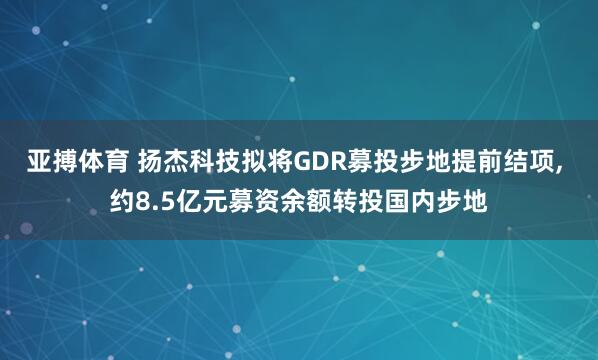 亚搏体育 扬杰科技拟将GDR募投步地提前结项， 约8.5亿元募资余额转投国内步地