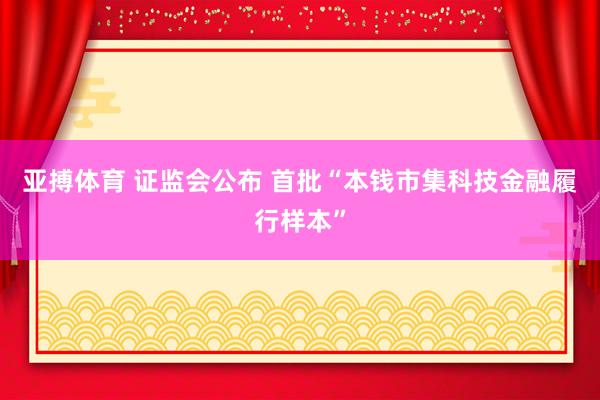 亚搏体育 证监会公布 首批“本钱市集科技金融履行样本”